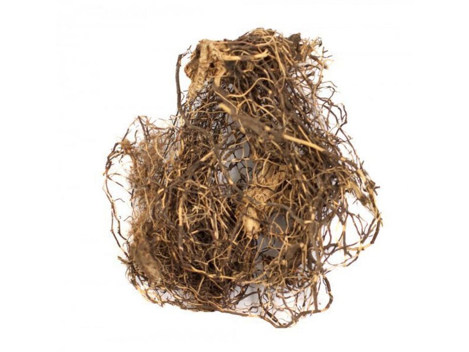 Deer root is the main component of Maral Gel