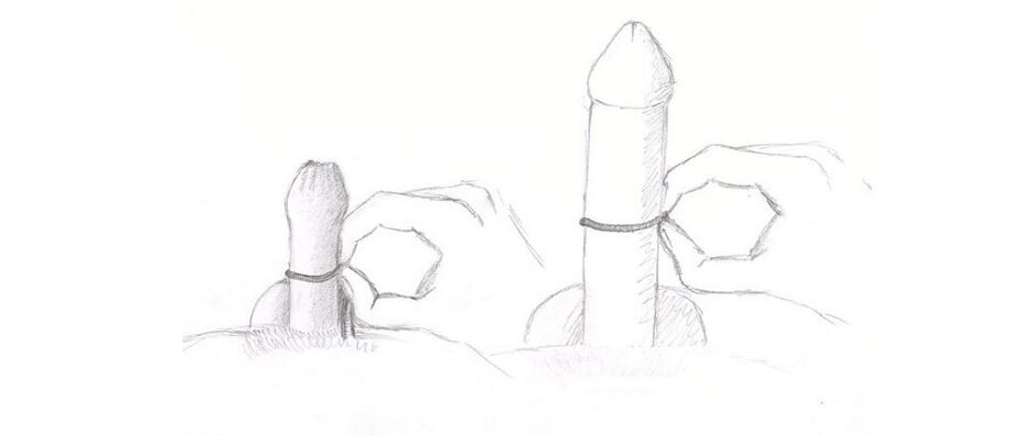 penis girth measurement